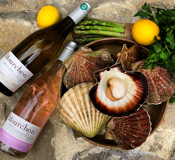 Scallops-and-Mourchon-copie